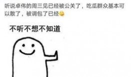 去年卓伟爆料视频大全最新,揭秘娱乐圈风云变幻