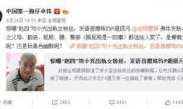 卓伟爆料有后果吗视频下载,揭秘娱乐圈风波背后的真相