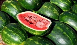 吃瓜免费通道,畅享娱乐新体验