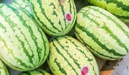 江阴网红吃瓜事件真相是真的吗,事实与谣言的较量